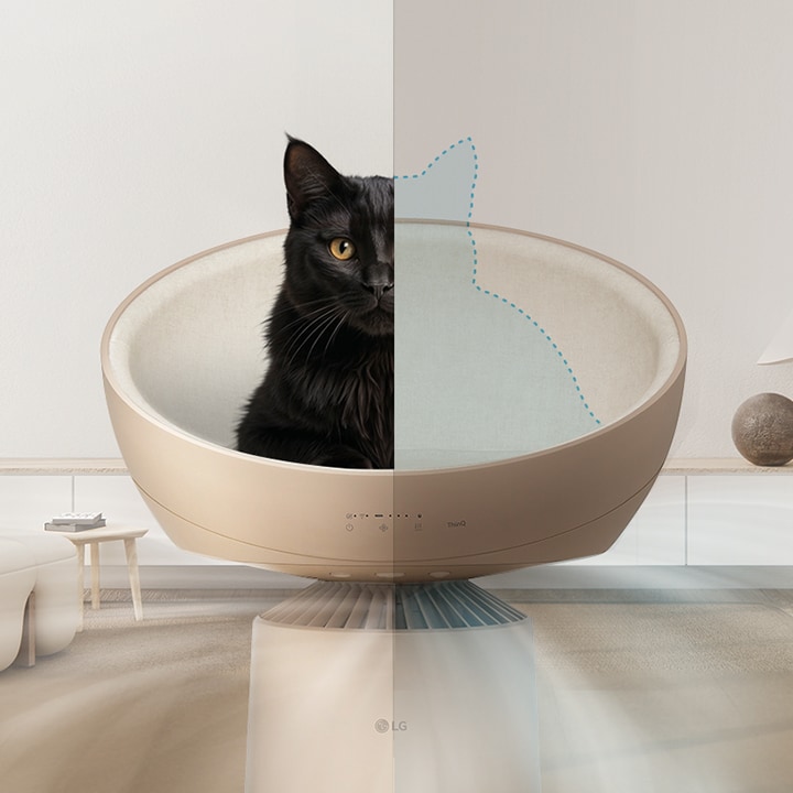 Cat Relax Mode