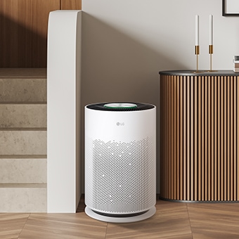 Leaves Your Space Clean from Bacteria